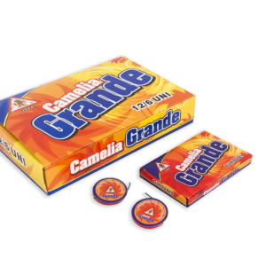 CAMELIA GRANDE 1024x683